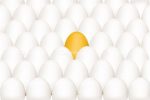 Yellow Egg Surrounded by White Eggs Background